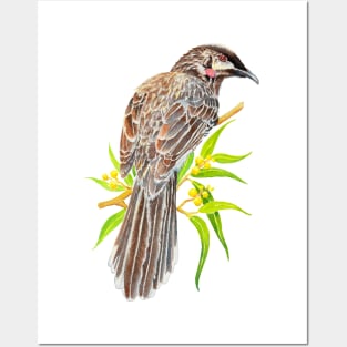 Red Wattlebird - Australian Bird Posters and Art